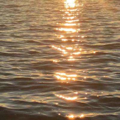 加拿大pc入口手机app下载